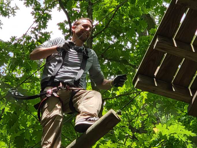 Tree Climbing